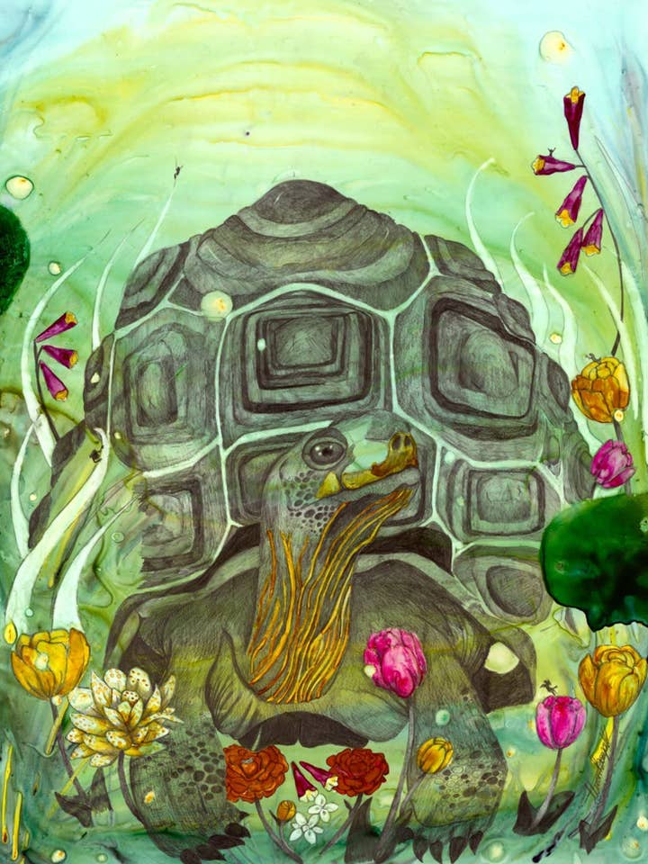 Hond Vooruit voor wholesale door Freckled Illustrations