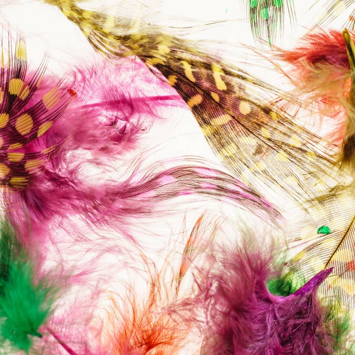 Papier peint plumes colorées, fresque fond blanc, art mural surdimensionné sur mesure, non-tissé, non-adhésif, papier peint moderne, amovible pour la vente par Walloro Luxury Embossed Wallpaper