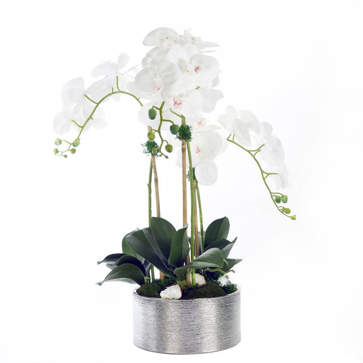 Real Touch Phalaenopsis with Geodes in Round Silver Pot for wholesale by JENNY SILKS