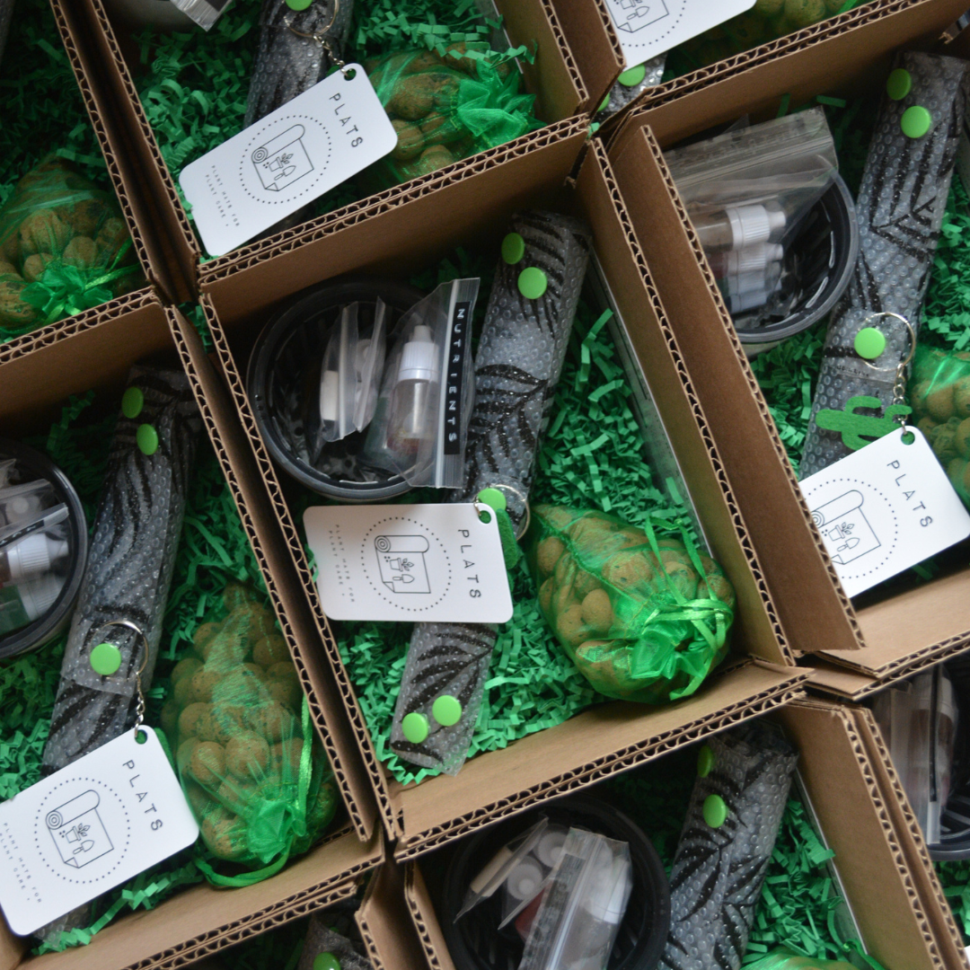 Plantmats - Wholesale DIY Craft Kit - Wish Me 'Leca' Starter Kit5