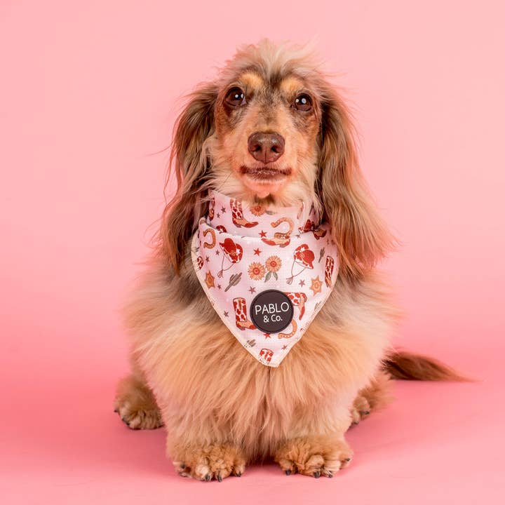Pablo & Co. Boutique - Wholesale Pet bandana – Dog - Howdy: Dog Bandana1
