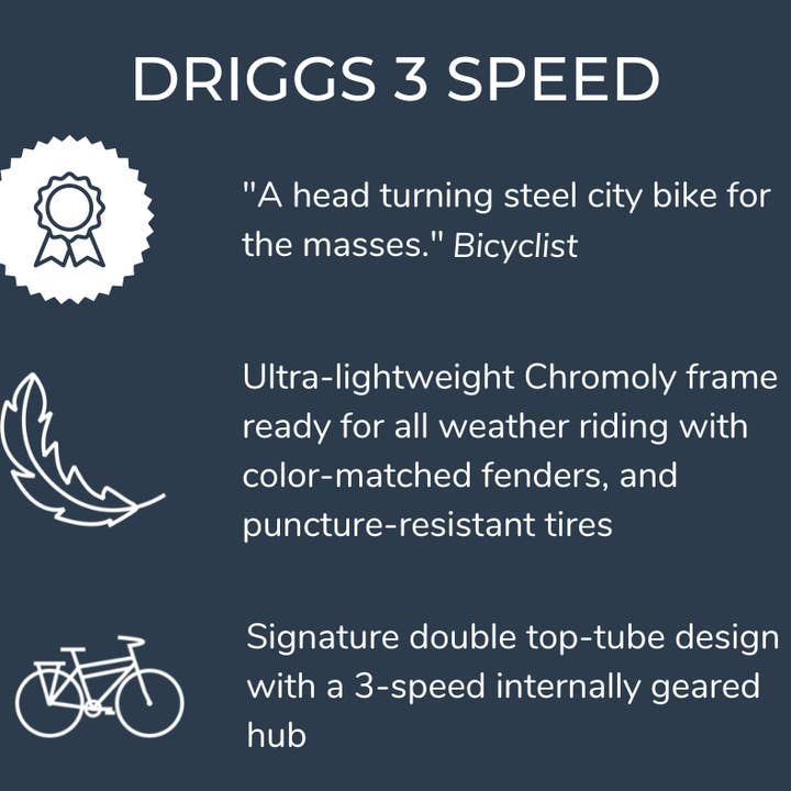 Brooklyn Bicycle Co. - Wholesale Biking Accessories - Driggs 3 Speed4