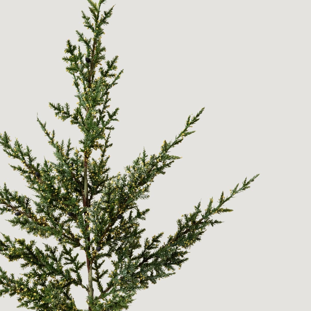 Afloral - Wholesale Artificial Plant - Artificial Evergreen Pine Branch - 37"2