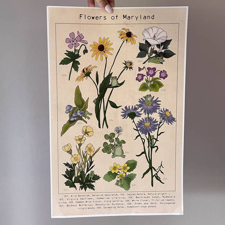 Blomster af Maryland Frog Print for engroshandel hos Frogblobs