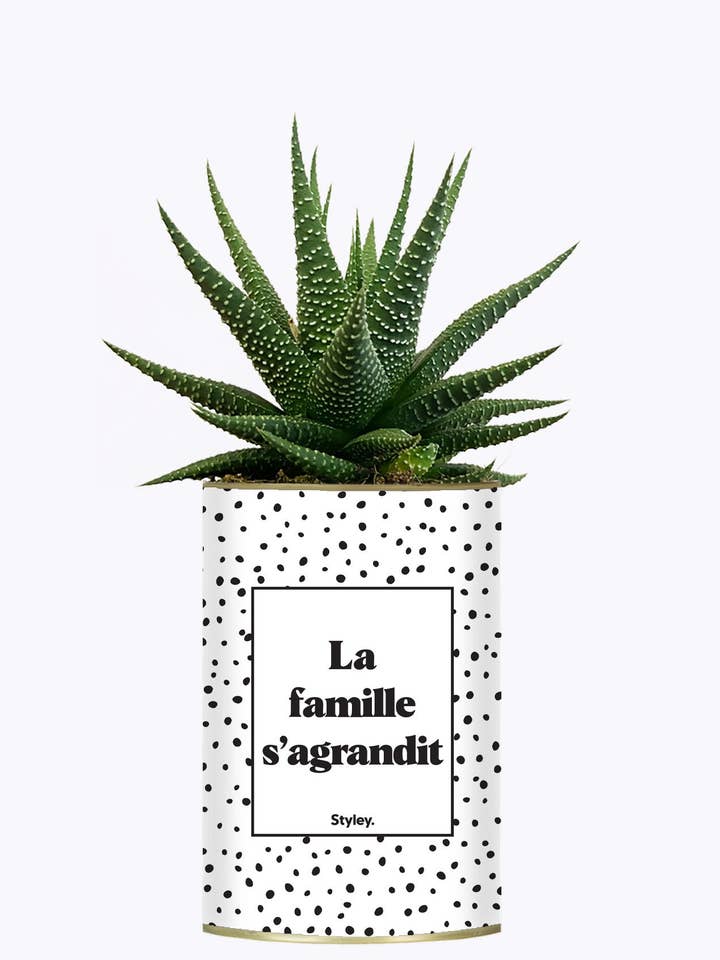 De Familie Groeit - Plant voor wholesale door Styley