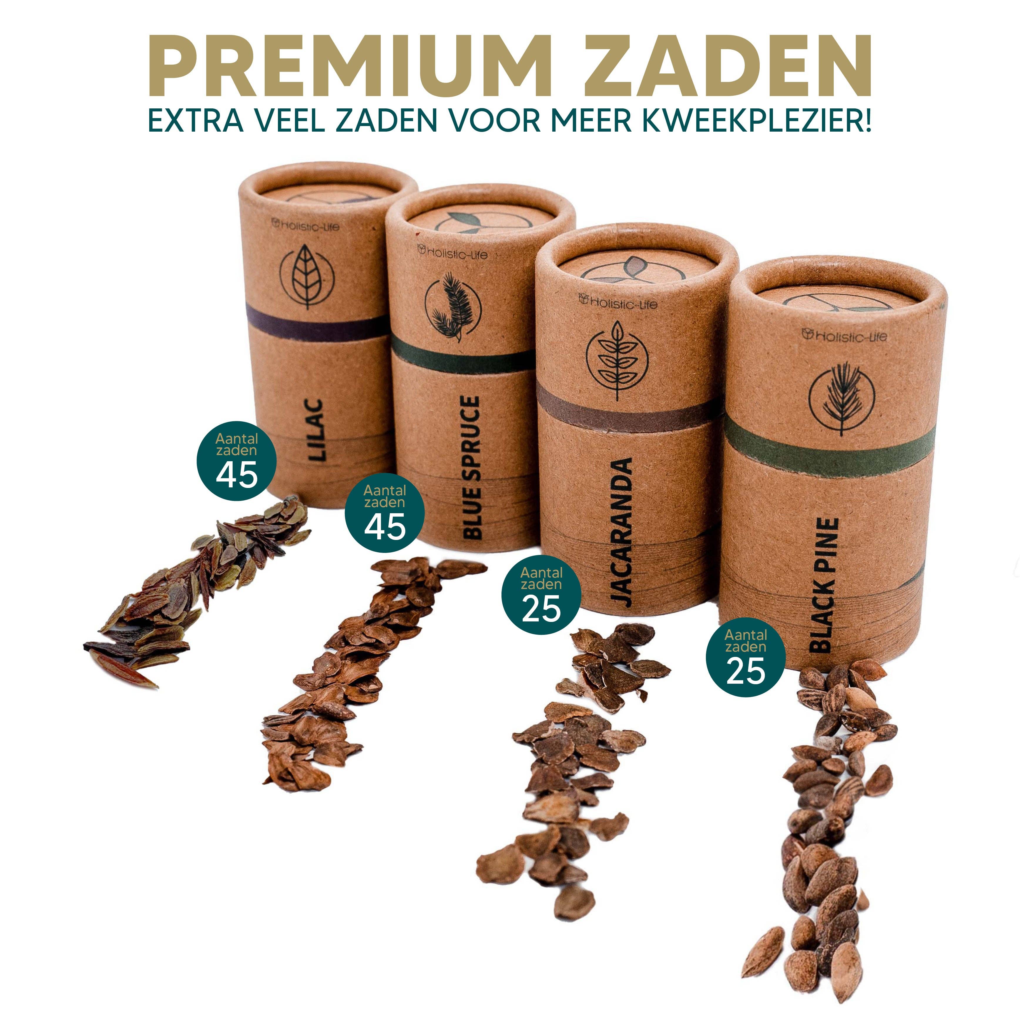 holistic-life - Wholesale DIY Craft Kit - Bonsai Starter Kit with Comprehensive Manual – Plastic-Free2