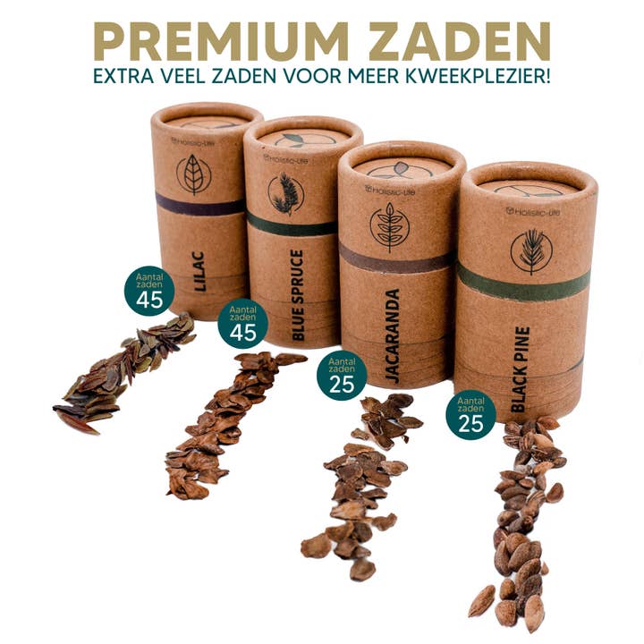 holistic-life - Wholesale DIY Craft Kit - Bonsai Starter Kit with Comprehensive Manual – Plastic-Free2