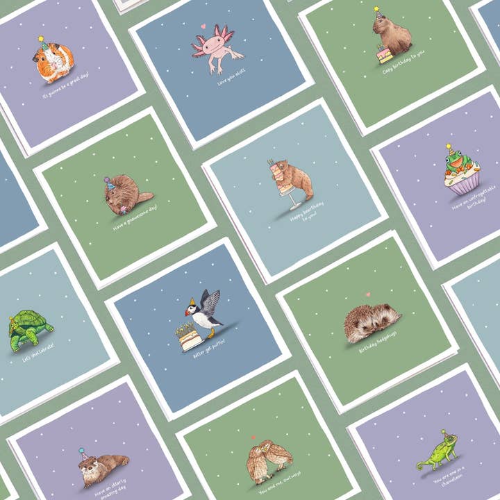 Wild Lines - Wholesale Birthday Card - Better Get Puffin! // Funny Puffin Birthday Card, Bird Cards2