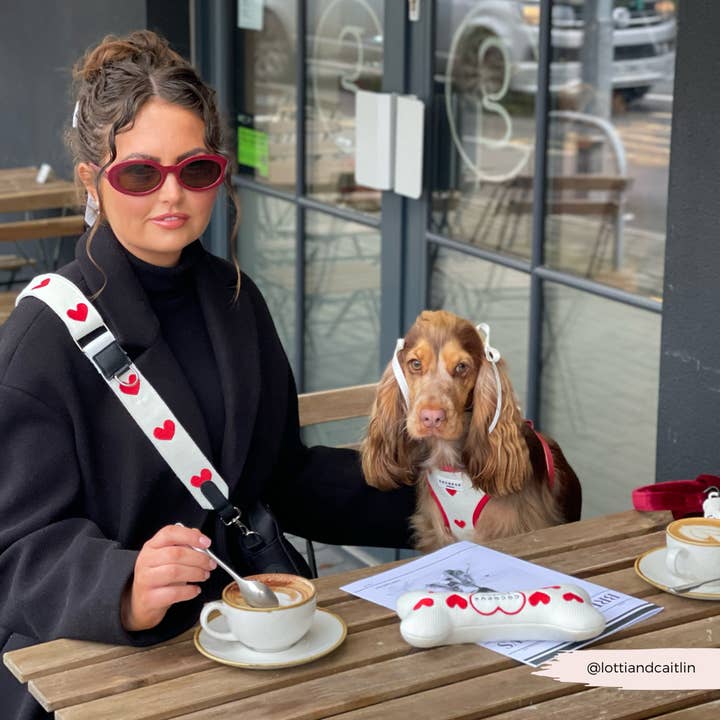 Cocopup London - Wholesale Pet harness – Dog - Hugs & Knitted Adjustable Neck Harness11