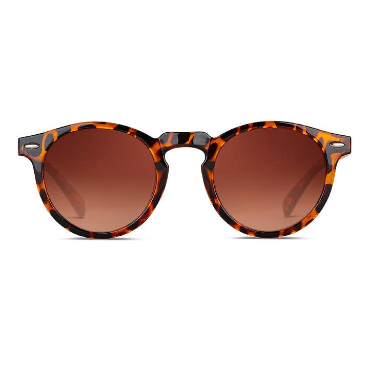 Weby Srl - Wholesale Sunglasses - Unisex - DOGMA - Sunglasses16