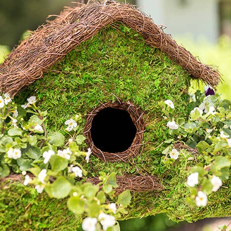 SuperMoss - Wholesale Bird House - Plantable Maison Patio Birdhouse