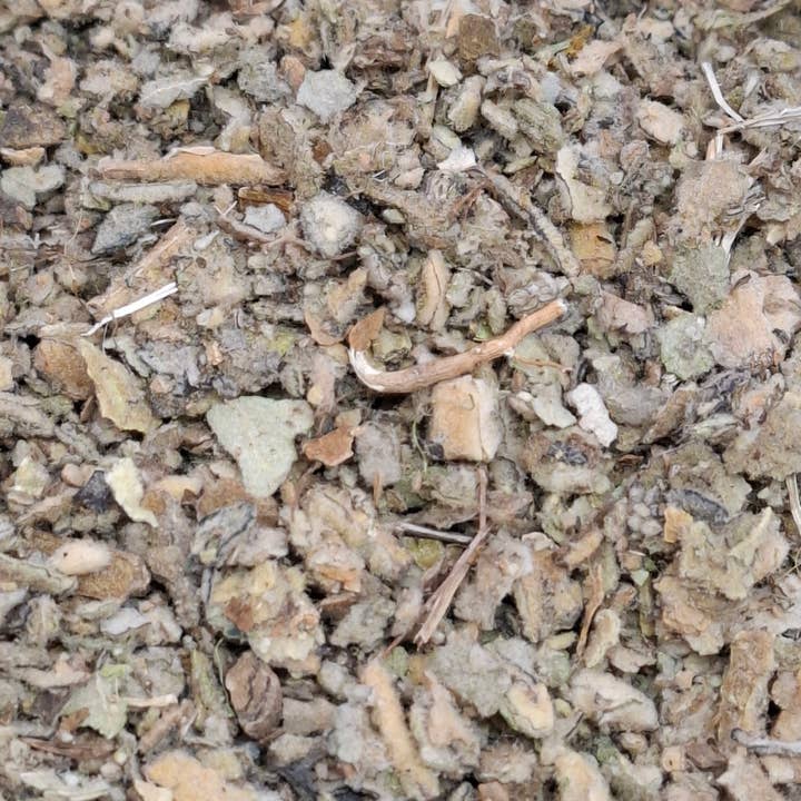 CADUCEUS kruidenapotheek - Wholesale Loose Tea - Mullein (Verbascum thapsus) 1kg