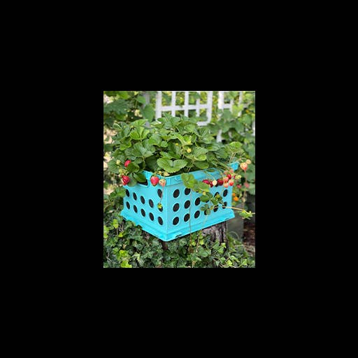 Smart Pots - Venta al por mayor Macetas - Forro para cajas de leche, 12 x 12 x 182