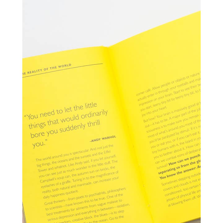 Chronicle Books - Wholesale Arts & Entertainment - How Art Can Make You Happy12