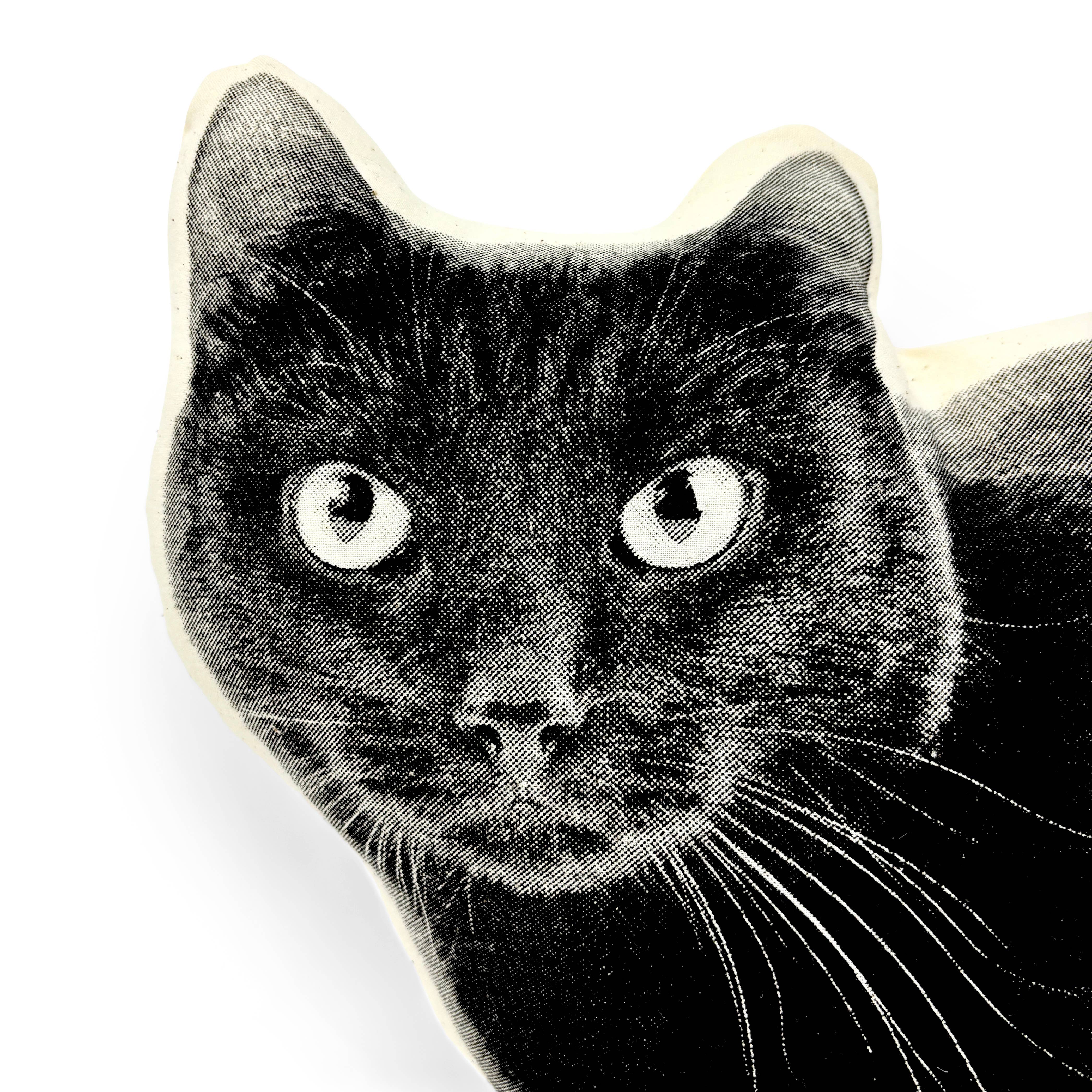 Broderpress – wholesale Throw/decorative pillow – Black Cat Pillow1