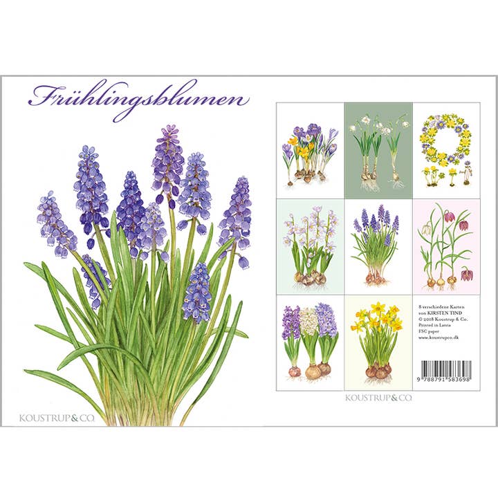 Koustrupco - Wholesale Everyday Greeting Card - Cardfolder Frühlingsblumen - 8 cards w/envelopes (german)4