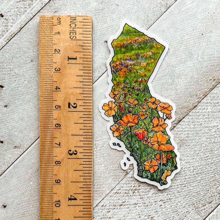 BarnHouse Studios - Wholesale Sticker - California State Flower Superbloom, 3" Clear Vinyl Sticker