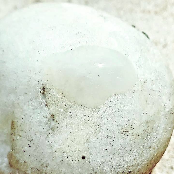 Ataliene - Private Label Skin Care Atelier - Wholesale Facial Serum/Concentrate - Plant EGF Peptide Serum Growth Factor + HA Private Label Spa36