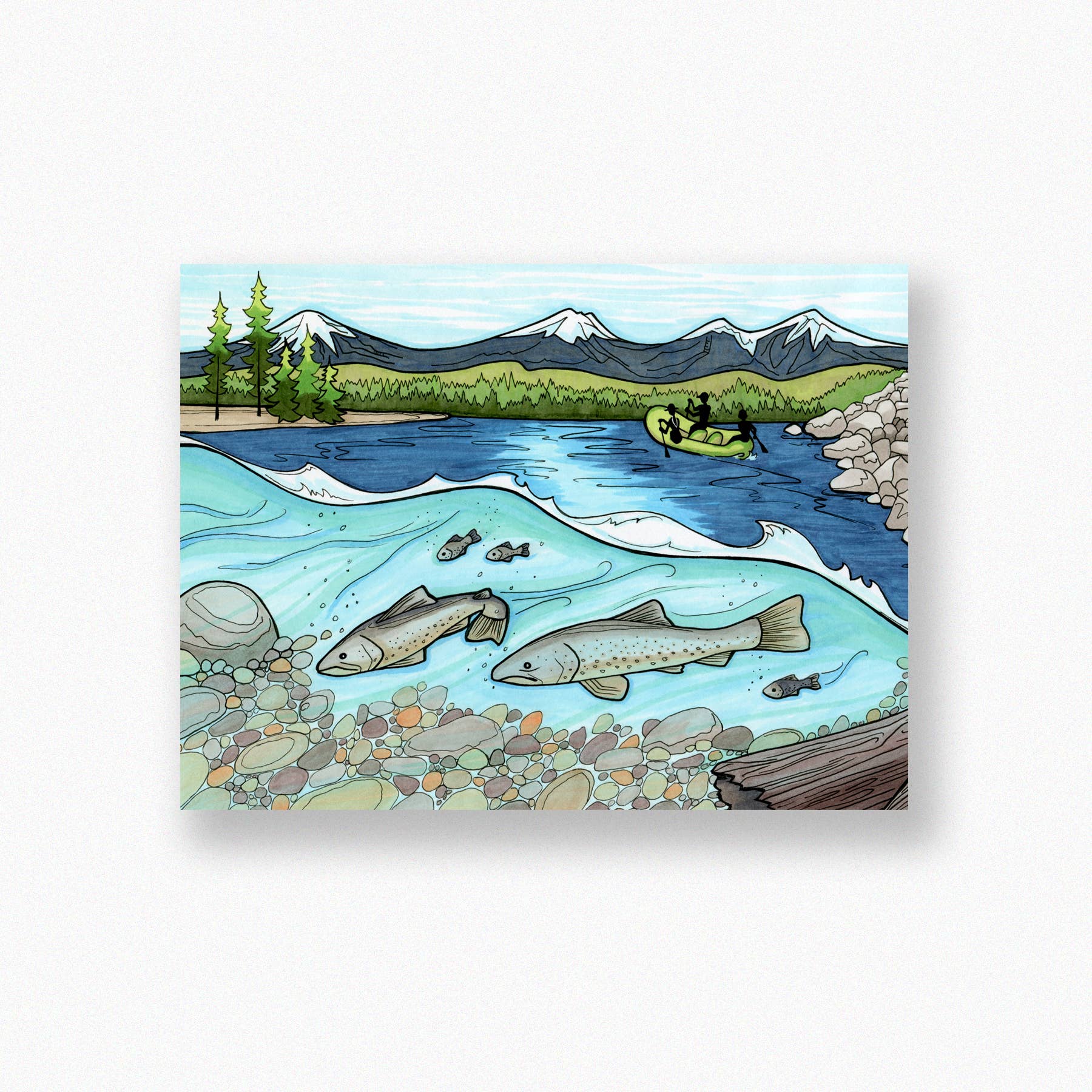 Michele Michael Art - Wholesale Sticker - Protect the Deschutes sticker