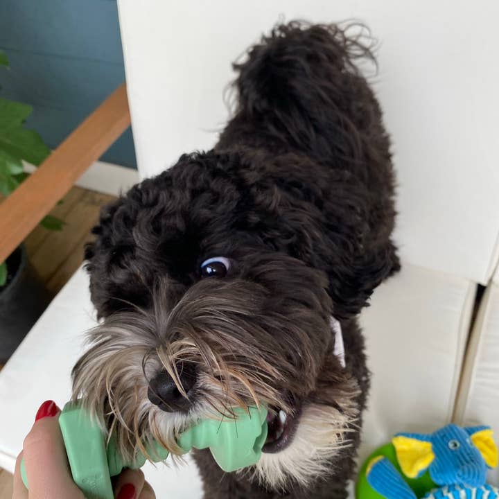 Spunky Pup - Wholesale Pet Chew Toy - Dog - The Tools - MADE IN THE USA3