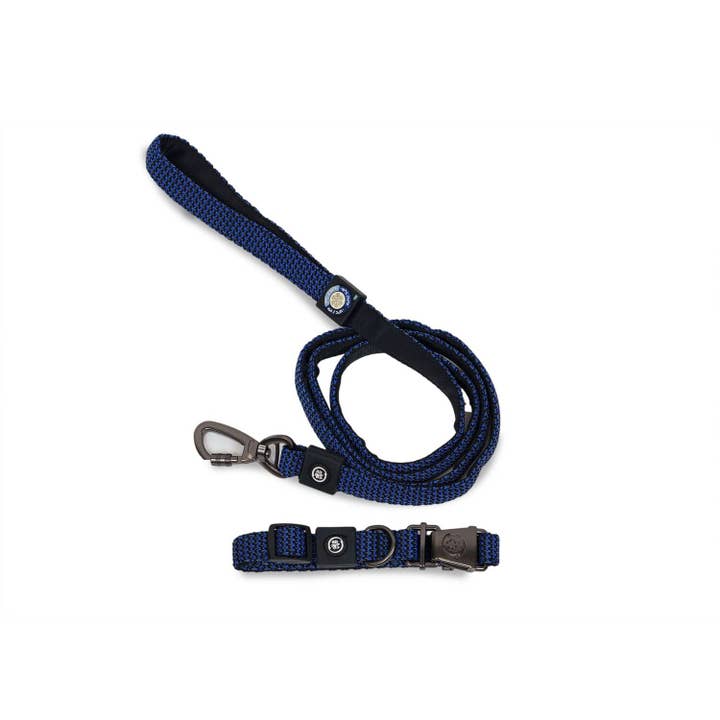 Dollar Paw - Wholesale Pet Collar - Dog - Dog Collar With Leash1