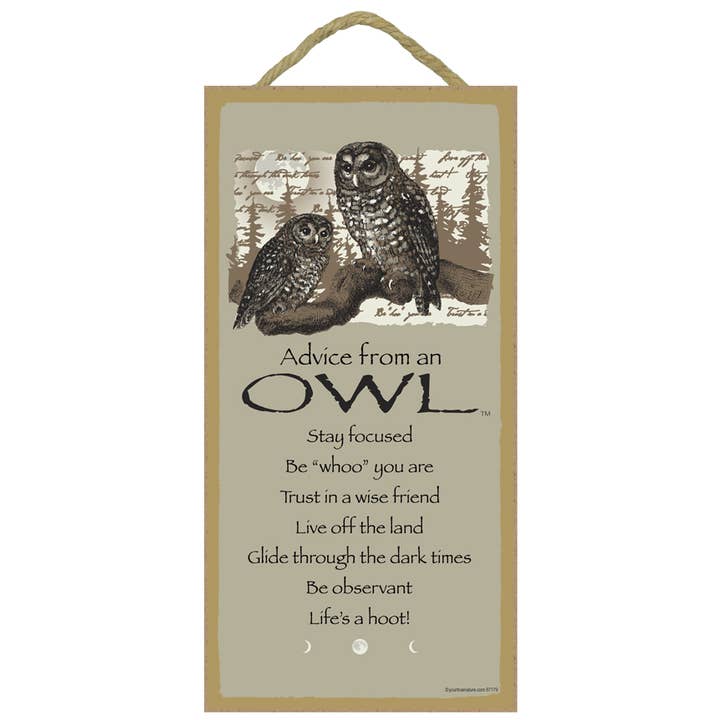 Plaque en bois Owl//Advice From, plaque en bois de 5 po x 10 po, enseigne, sous licence f pour la vente par SJT Enterprises, Inc.
