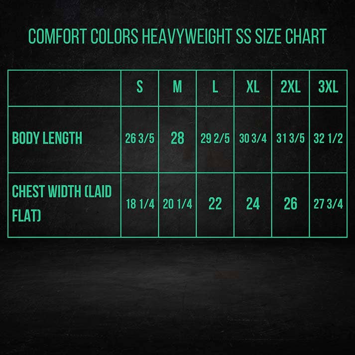 The Light Company - Wholesale Screen Printed T-Shirt - Unisex - The Lord Is My Shepherd Psalm 23 Faith Tee1