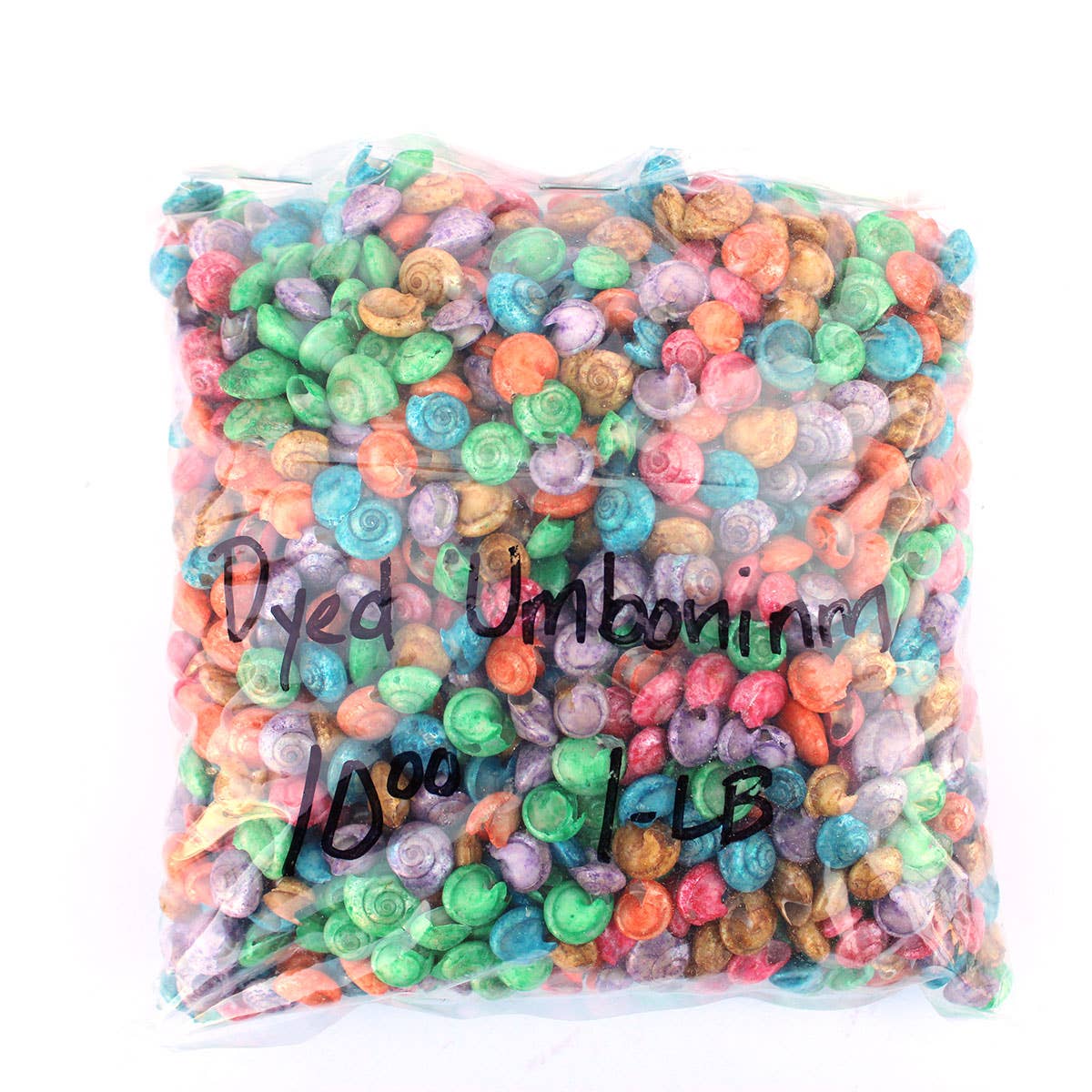 California Seashell Company - Wholesale Craft Supplies - Dyed Umbonium Craft Shells - 1 LB2