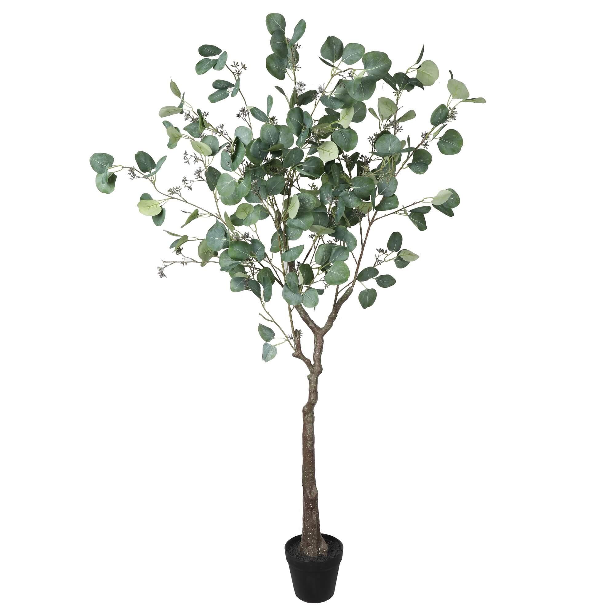 Designer Plants AU - Wholesale Artificial plant - Artificial Eucalyptus Tree (Red Box Eucalyptus Polyanthemos) 150cm0