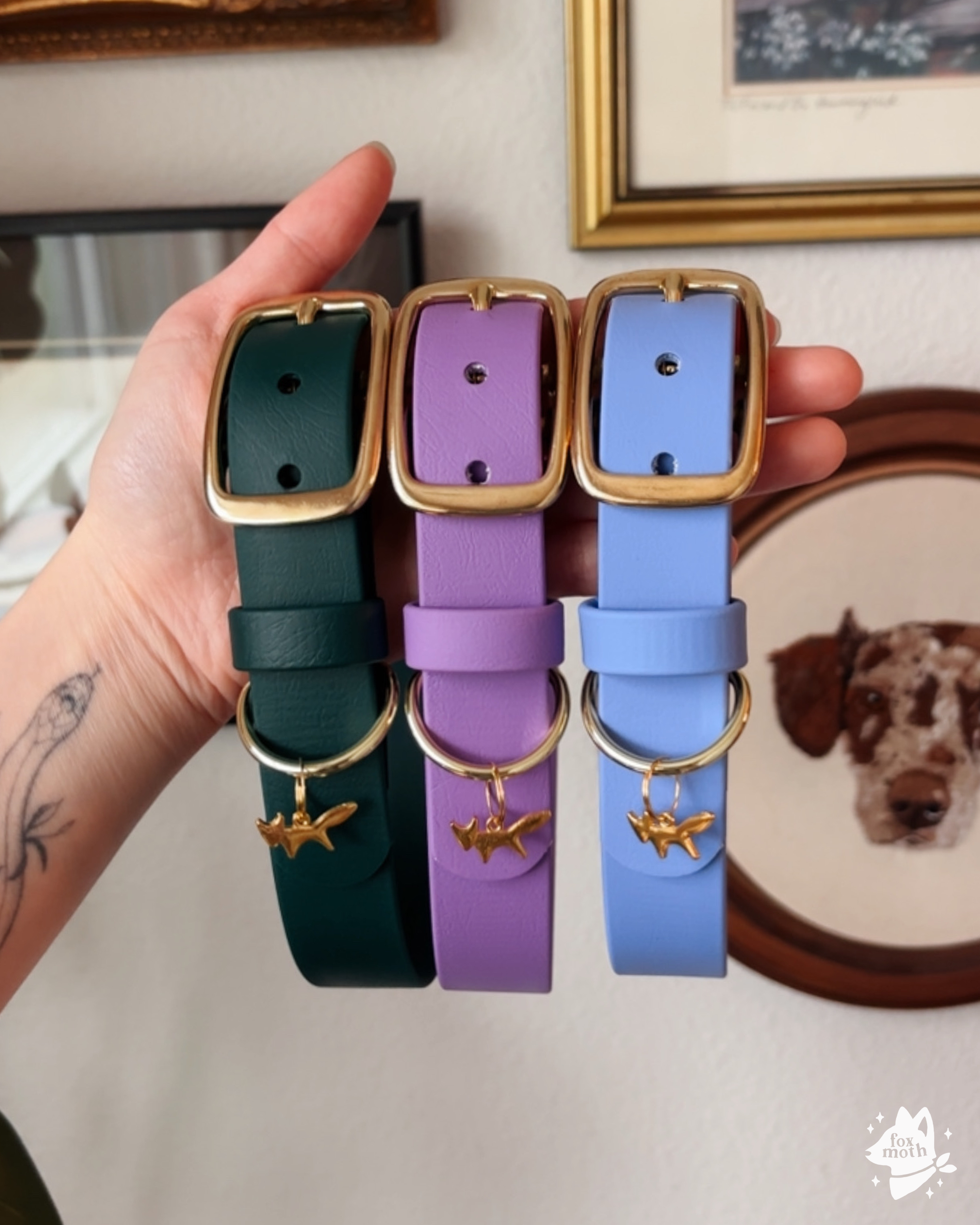 FoxMoth - Wholesale Pet Collar - Dog - Modern Waterproof Biothane Dog Collar [All 17+ Colors]5