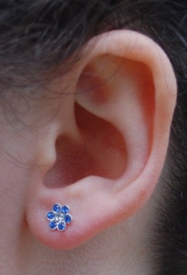 Semaki & Bird – wholesale Solitärörhängen – Alaska Förgätmigej Inte Sapphire Studs - sterling silver4