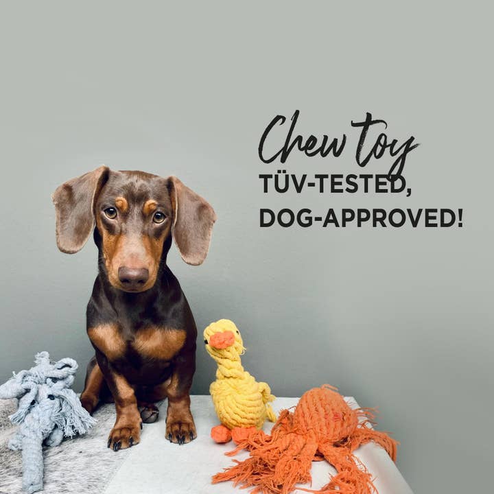 LABONI - Volentis GmbH - Wholesale Pet Chew Toy - Dog - EMMA ENTE – The Cheerful Play Companion9