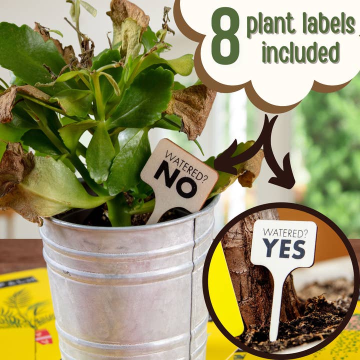 Boxer Gifts – wholesale Plant mister – Don't Kill Your Houseplants Care Guide - Plant Gifts3