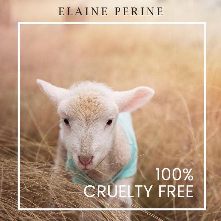 ELAINE PERINE - Wholesale Anti-Aging Moisturizer - breast augmentation serum3