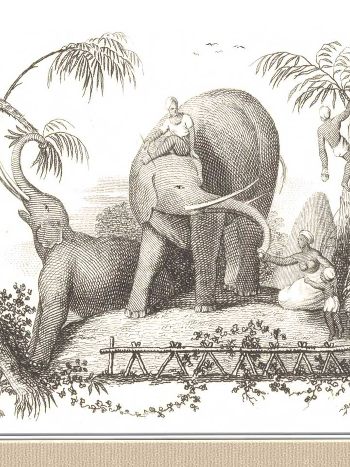 An Elephant Idykk for wholesale by Finalina