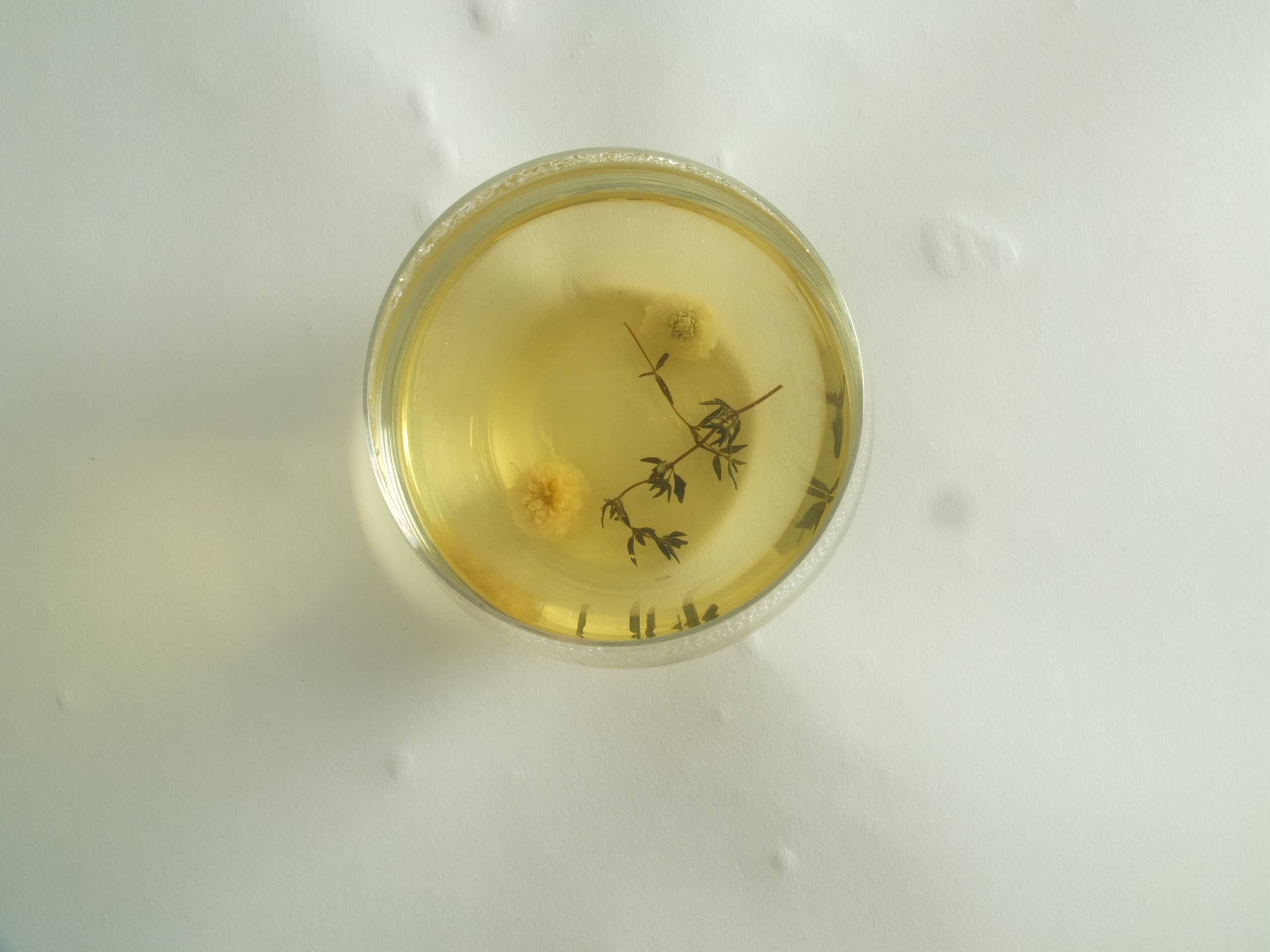 Fleurs d'hiver - Wholesale Losse thee - Infusielolly - Kamille & Tijm2