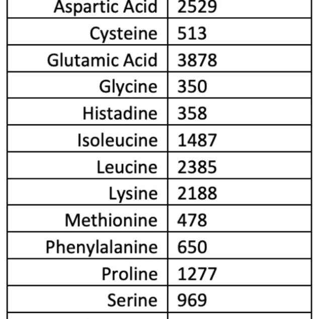 WICKED Protein - Wholesale Protein/Superfood Powder - WICKED Watermelon Clear Whey Isolate Protein Powder (IN STOCK)6