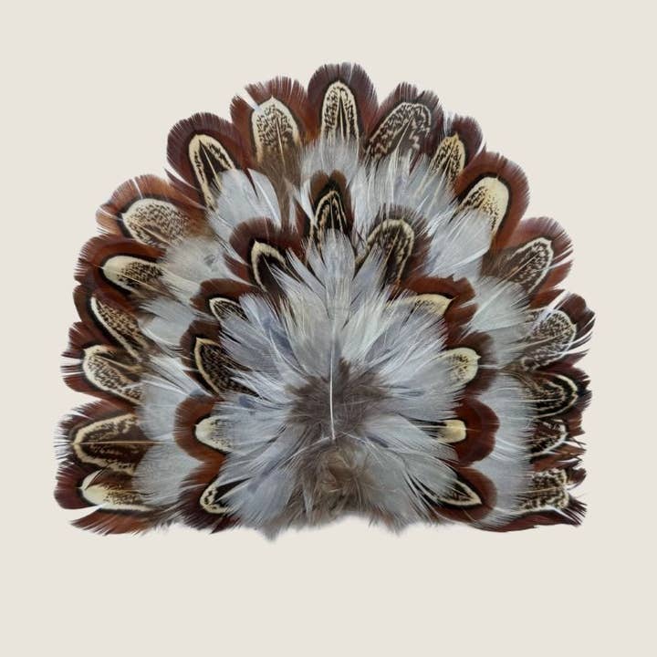 Feather Crest Chute for wholesale by Willow Lane Hat Co.