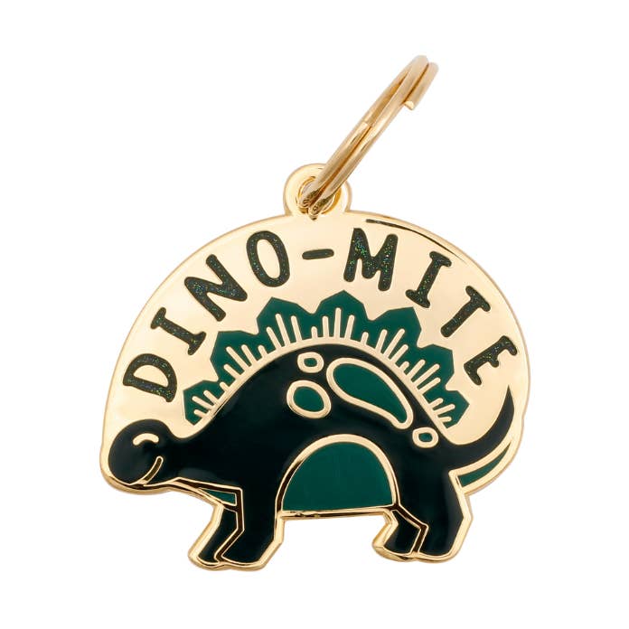 Dino-Mite Pet ID Tag for wholesale by Two Tails Pet Company