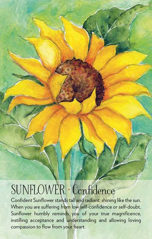 Simon & Schuster - Wholesale Tarot Cards - Soulflower Plant Spirit Oracle by Lisa Estabrook5