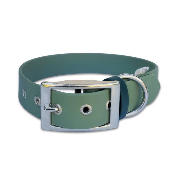 Sage, collare per cane artigianale in Biothane, prodotto in Francia per la vendita all'ingrosso da parte di Stylidog