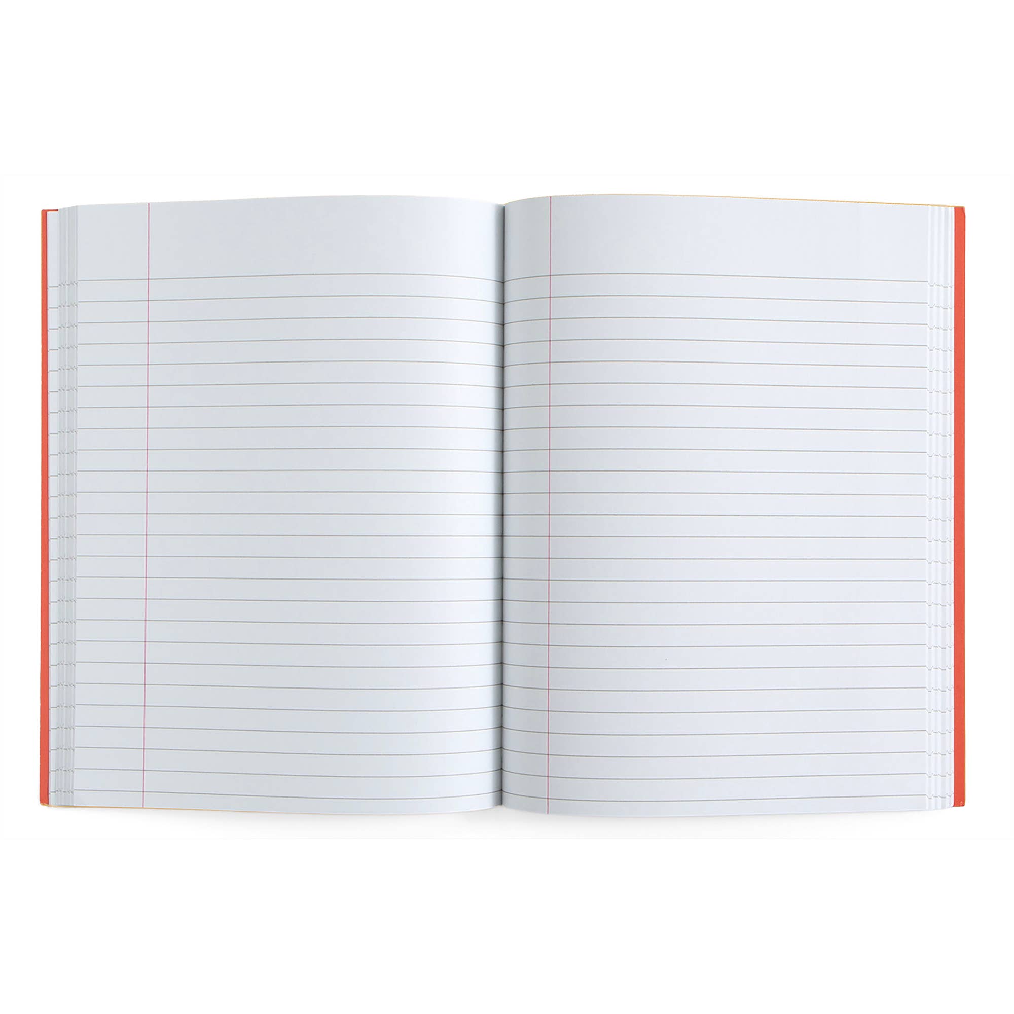 Pippi Post - Vente Cahiers - Cahier à composition motif chiens dalmatiens1