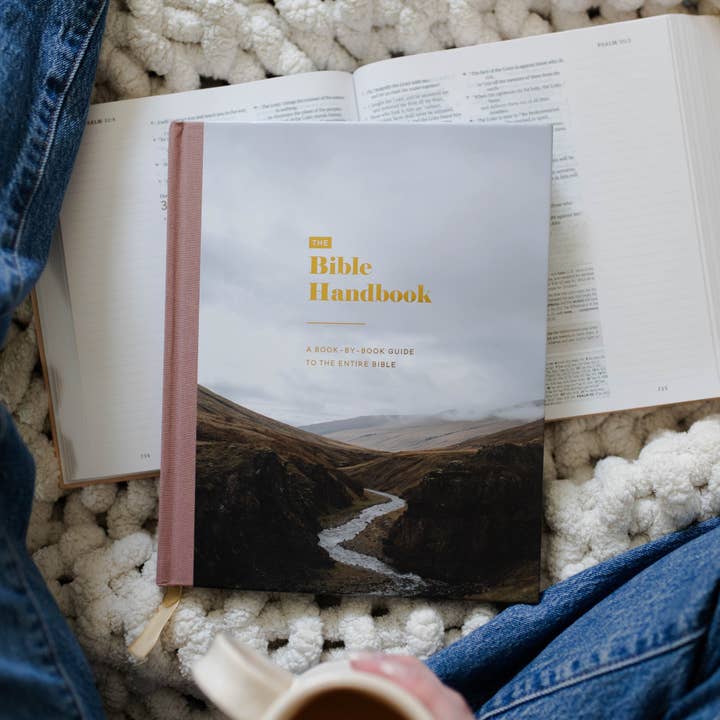 The Bible Handbook: A Book-by-Book Guide to the Entire Bible for wholesale by The Daily Grace Co