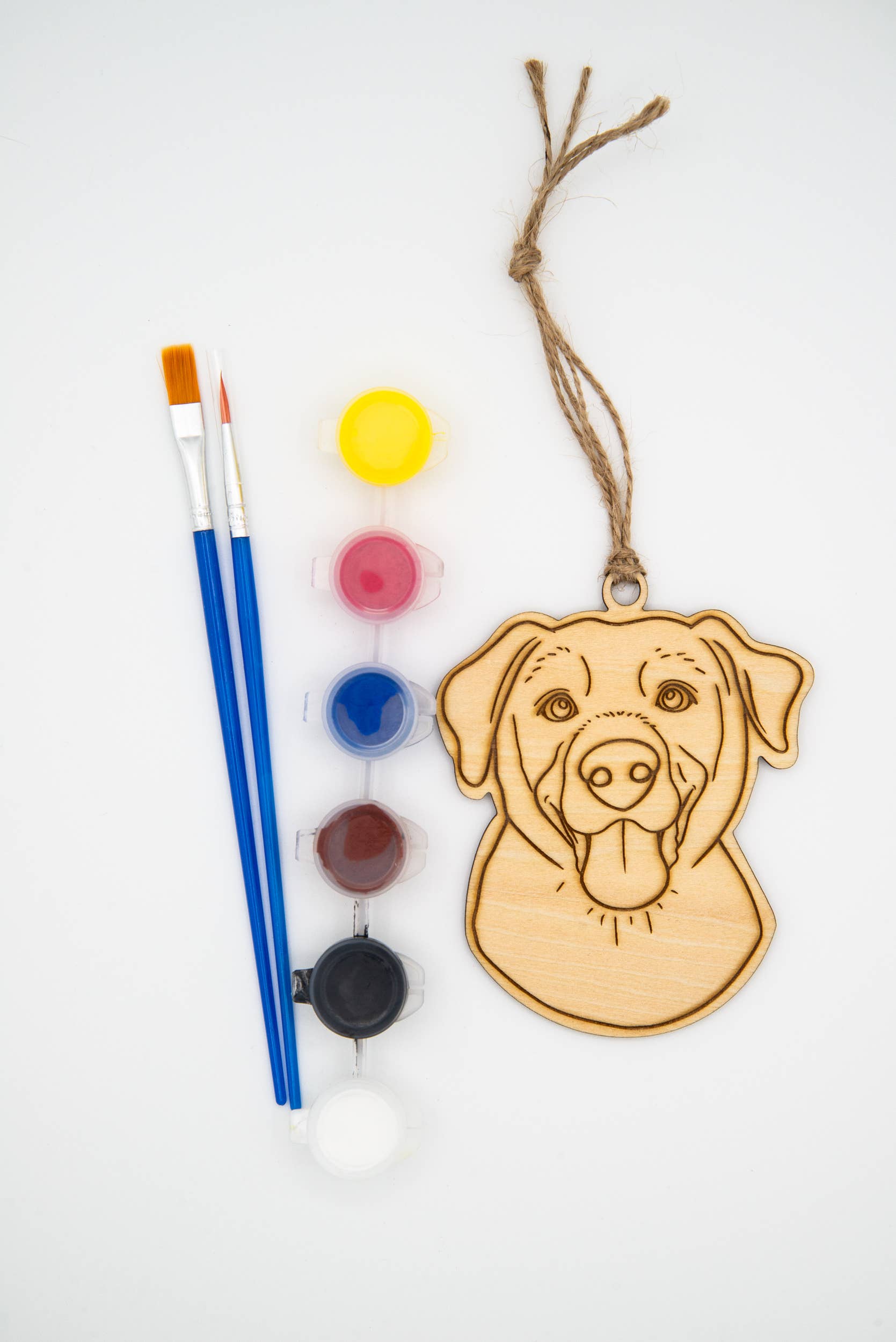 Jennifer Schiano Studio - Wholesale DIY Craft Kit - Paint Your Own Kit: Dogs!7