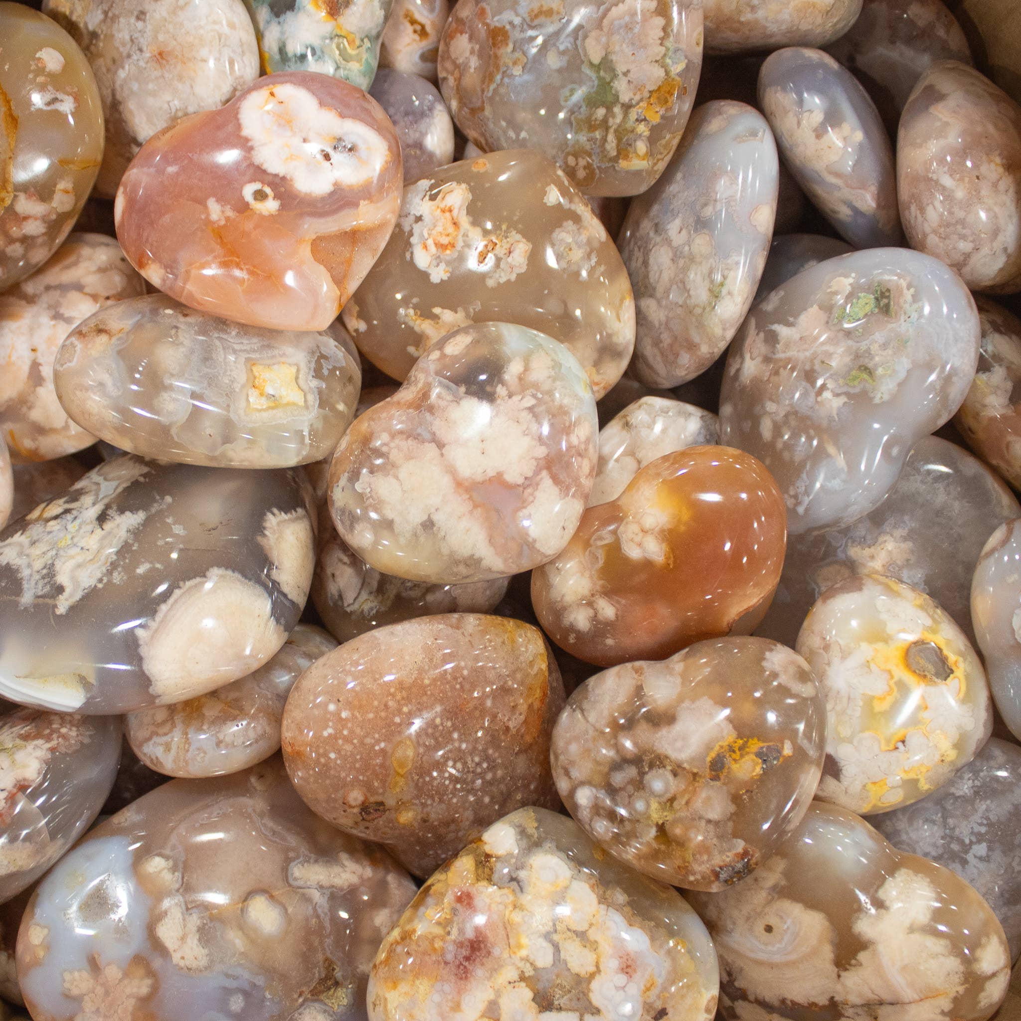 Quasar Gems USA - Wholesale Spiritual Stone/Crystal - Flower Agate Hearts0