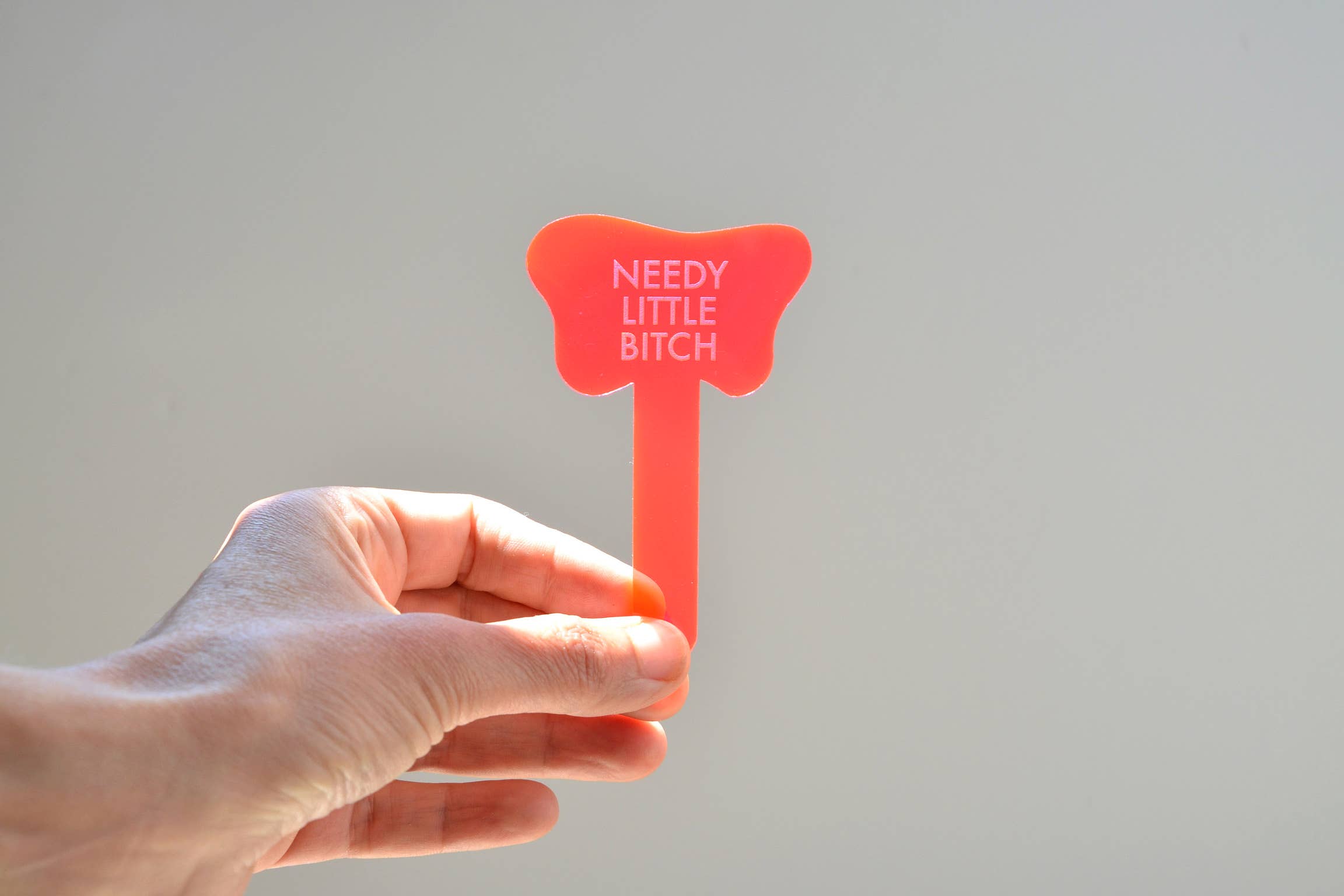 Tuff Girl Gang - Wholesale Plant Pot - NEEDY LITTLE BITCH Plant Stake10