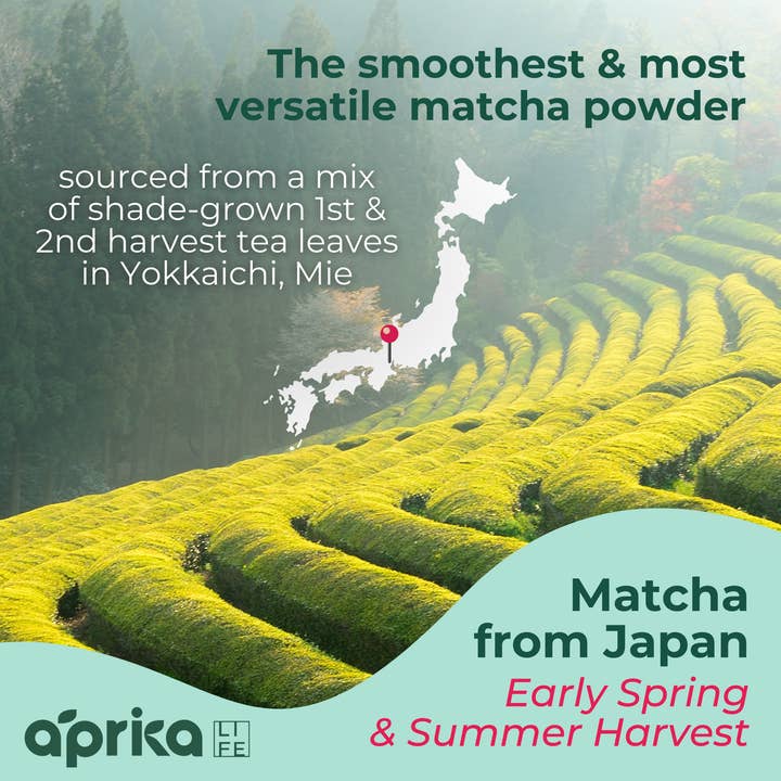 Aprikalife - Wholesale Health/Detox Tea - Japanese Matcha Green Tea Powder, Culinary Grade 100g/3.5oz
