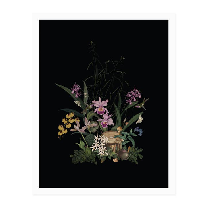 Orchid Garden konsttryck för wholesale av Open Sea