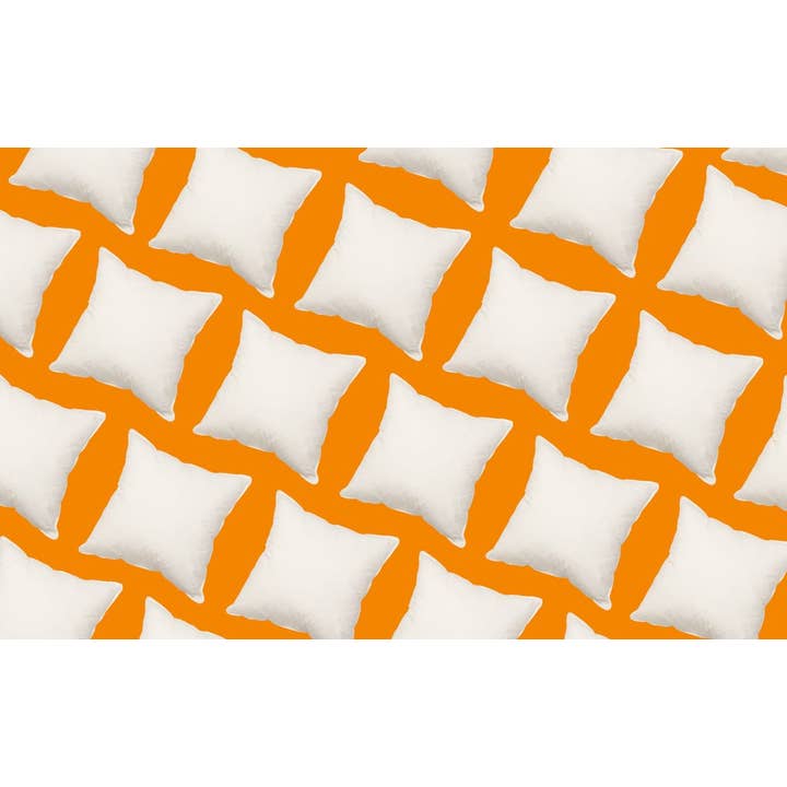 Canadian Down & Feather Company - Wholesale Chair Cushion - White Goose Feather Cushions
