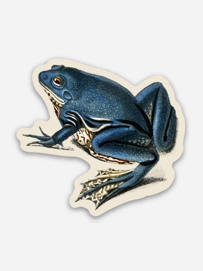 Exasperated Frog - Gap Filler Sticker for wholesale by Stay Home Club